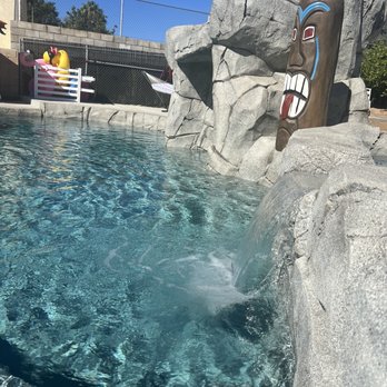 LB pool&spas services - Beautiful waterfall and gas tiki torch - Pool & Hot Tub Service Near Me LB pool&spas services - Beautiful waterfall and gas tiki torch - Pool & Hot Tub Service Near Me