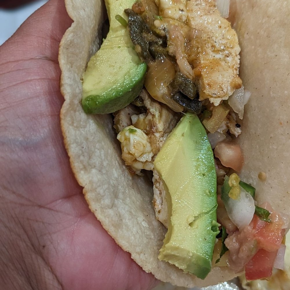 Fresh corn tortillas to put everything in Fresh corn tortillas to put everything in