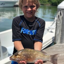 Make a Wake Fishing - Inshore snapper