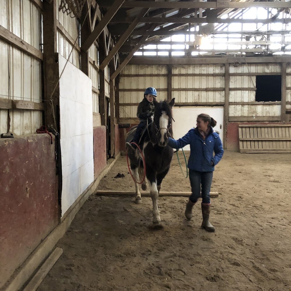 Painted Bar Stables - Lesson at the barn with Captain - Horse Boarding Near Me - Burdett, New York Painted Bar Stables - Lesson at the barn with Captain - Horse Boarding Near Me - Burdett, New York
