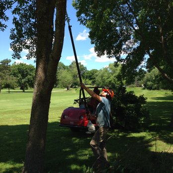 Dan Brown Tree - a man trimming a tree - Tree Services Near Me Dan Brown Tree - a man trimming a tree - Tree Services Near Me