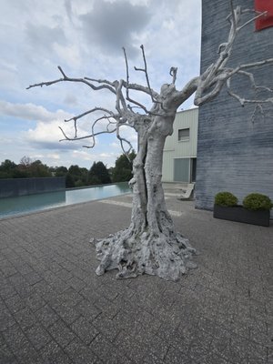 Embassy of Switzerland by null