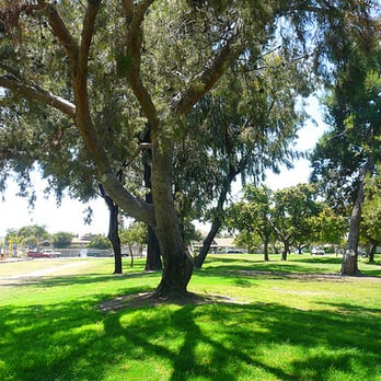 Sun View Park - Afternoon in the park - Parks Near Me - Huntington Beach, California Sun View Park - Afternoon in the park - Parks Near Me - Huntington Beach, California