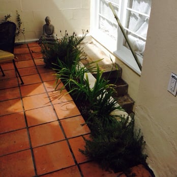Azimut-Trees and Garden Services - Side yard - Tree Services Near Me - San Francisco, California Azimut-Trees and Garden Services - Side yard - Tree Services Near Me - San Francisco, California