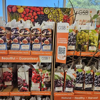 The Home Depot - Nurseries & Gardening Near Me - Plano, Texas The Home Depot - Nurseries & Gardening Near Me - Plano, Texas