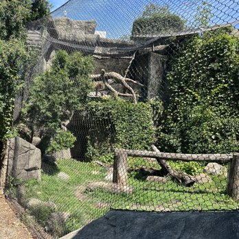 Brookfield Zoo Chicago - Zoos Near Me - Brookfield, Illinois Brookfield Zoo Chicago - Zoos Near Me - Brookfield, Illinois