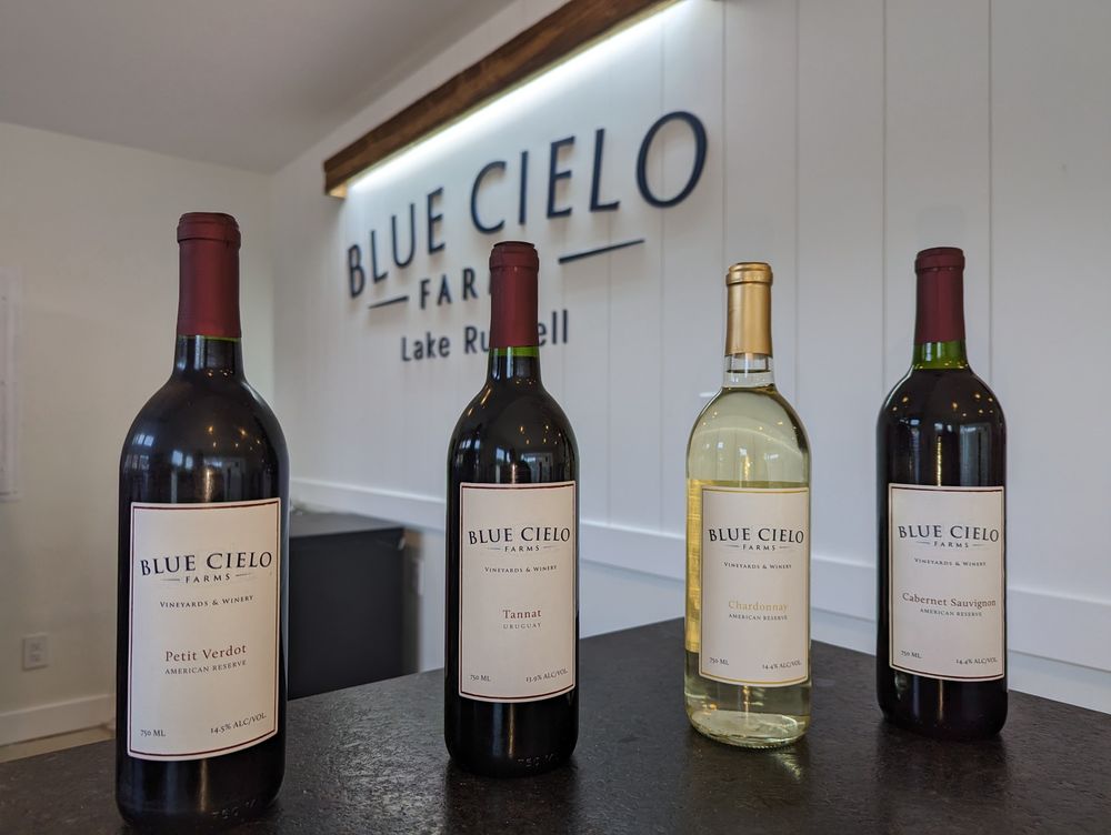 Blue Cielo Farms - vineyard in Elberton, GA