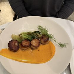Scallops Main Entre