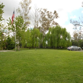 Midway Rv Park - American flag & Willow tree - RV Parks Near Me - Vacaville, California Midway Rv Park - American flag & Willow tree - RV Parks Near Me - Vacaville, California