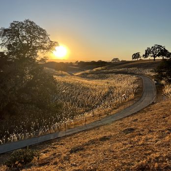 Sensorio - view from VIP area - Art Galleries Near Me - Paso Robles, California