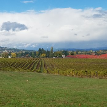 Montinore Estate - Wineries Near Me - Forest Grove, Oregon Montinore Estate - Wineries Near Me - Forest Grove, Oregon