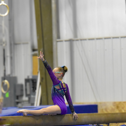 Wildcard Gymnastics