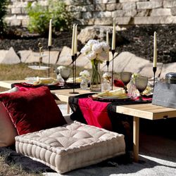 Next Level Celebrations by Design - Backyard picnic for 2