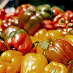Towson Farmer's Market - Colorful, tasty peppers!