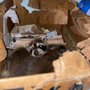 Photo of Advanced Wildlife Removal and Repair