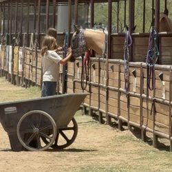 TRAK - Therapeutic Ranch For Animals and Kids - Yona Connecting to Diva what an amazing place where the animals love the children and thr children learn to connect with them back