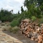 Texas Allied Landscaping