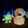 Photo of The SeaLight Festival