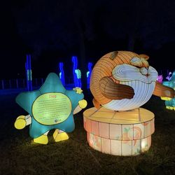 The SeaLight Festival