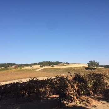 Opolo Vineyards - Wineries Near Me - Paso Robles, California Opolo Vineyards - Wineries Near Me - Paso Robles, California