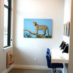 DeMille MacKay Dental - Interior of DeMille MacKay Dental | West Valley City, UT