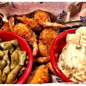 SHUCKUMS OYSTER PUB & SEAFOOD GRILL - 413 Photos & 507 Reviews