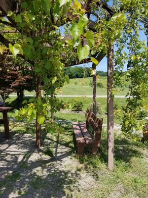 Keuka Lake Vineyards by null