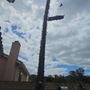 Photo of Francisco Garcia Landscaping and Tree Service