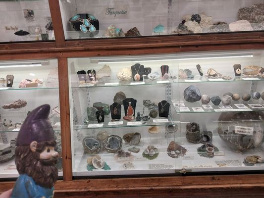 Mississippi Petrified Forest by null