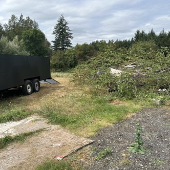 Red Raptor - Junk Removal & Hauling Near Me - Des Moines, Washington Red Raptor - Junk Removal & Hauling Near Me - Des Moines, Washington