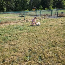 Cascades Gateway Park - At the dog park
