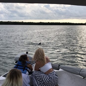 Blake Tours - Dolphins playing around the boat. - Boat Charters Near Me - Placida, Florida Blake Tours - Dolphins playing around the boat. - Boat Charters Near Me - Placida, Florida