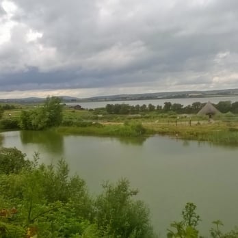 Castle Espie - Wetlands towards scrabo in the distance - Landmarks & Historical Buildings Near Me - Ards, ARD