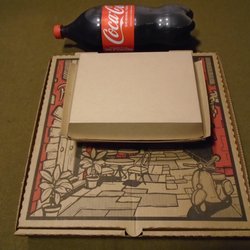 Pizza square - I made it home with my dinner!