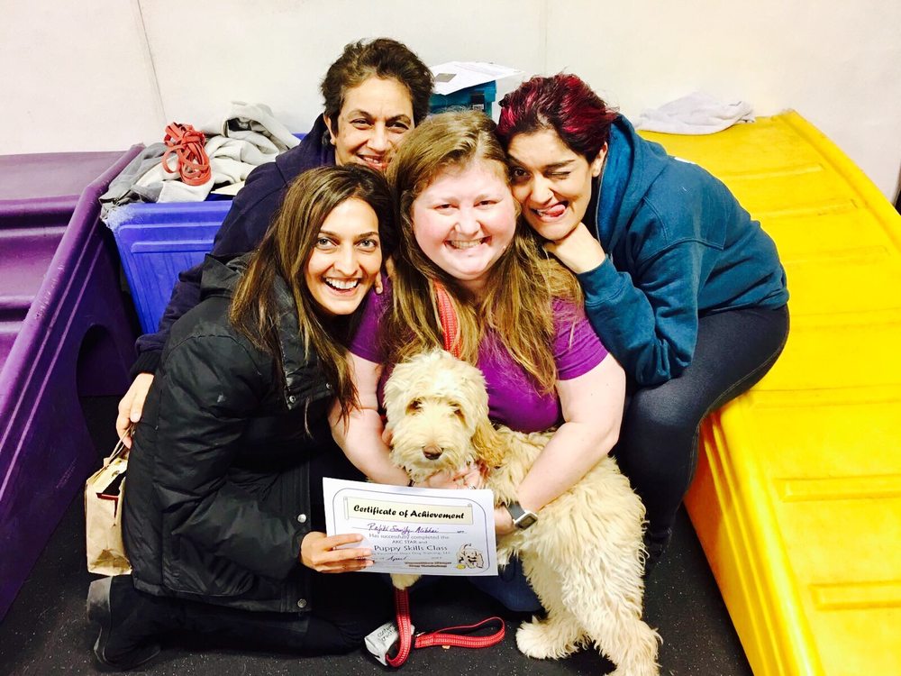 PAWSITIVE STEPS DOG TRAINING Updated October 2024 28 Photos & 13