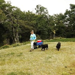 Poop Patrol - Doing what we love!