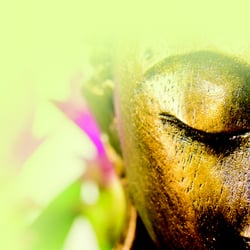 buddha-in-dir