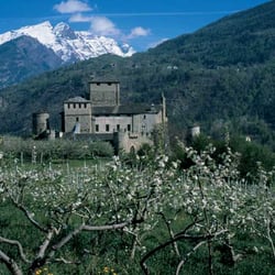 Castello Sarriod De La Tour