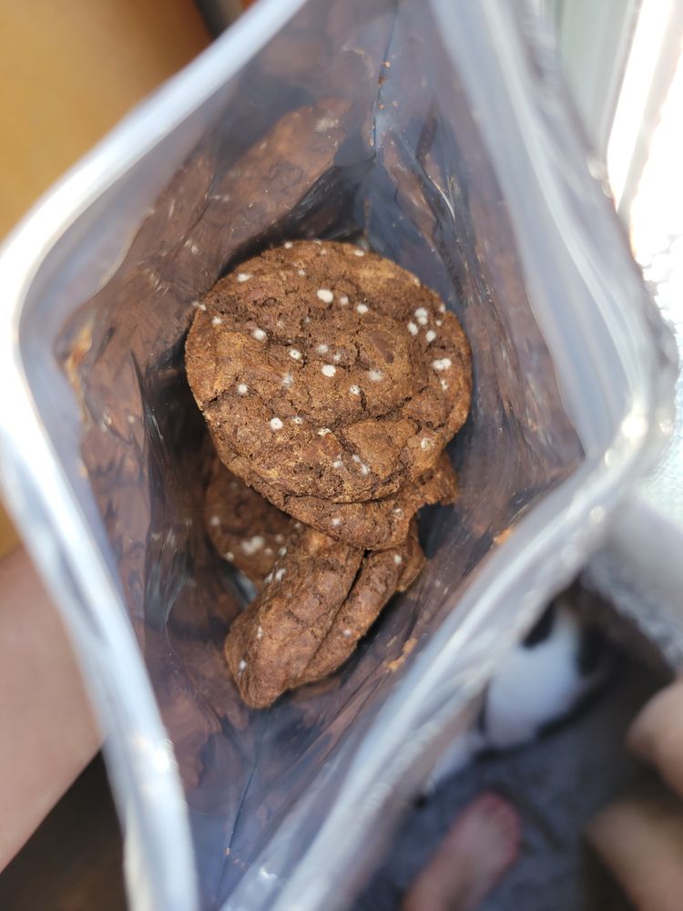 OHANA GARDENS Updated October 2024 20 Photos & 20 Reviews