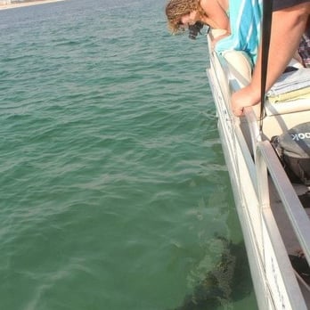 ScottyBoat Rentals - Boating Near Me - Panama City, Florida ScottyBoat Rentals - Boating Near Me - Panama City, Florida