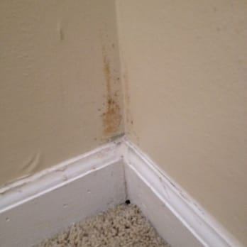 Esplanade - Mold seeping through the paint - Condominiums Near Me - Jacksonville, Florida