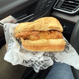 Spicy Sandwich