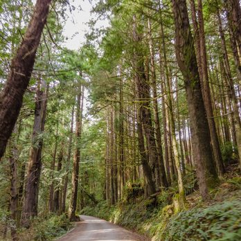 Redwood Coast Cleaners - End-To-End Commercial & Residential Cleaning Services for Humboldt County, CA - Home Cleaning Near Me Redwood Coast Cleaners - End-To-End Commercial & Residential Cleaning Services for Humboldt County, CA - Home Cleaning Near Me