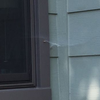 Alta Pest Control - Pest Control Near Me - Wichita, Kansas Alta Pest Control - Pest Control Near Me - Wichita, Kansas
