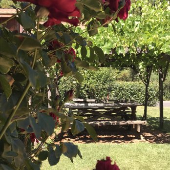 Husch Vineyards - Wineries Near Me - Philo, California