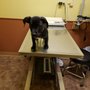 Photo of Reagor Pet Hospital
