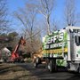 Jeff's Tree Service