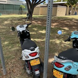 Hawaiian Style Rentals - Rental moped
