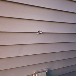 Tim T Properties - Damaged siding