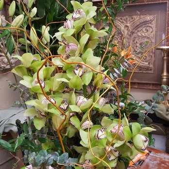 Plano Florist - Cymbidium Orchids - Florists Near Me - Plano, Texas Plano Florist - Cymbidium Orchids - Florists Near Me - Plano, Texas